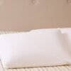 2 Almohadas Memory Espuma Viscoelastica 70x40x10 Dct